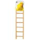 Prevue Pet 7 rung Bird Ladder 384
