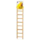 Prevue Pet 9 rung Bird Ladder 385