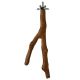 Prevue Pet Products Pacific Perch Cosmic Crunch Small