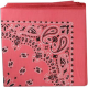 BANDANNA Paisley Strawberry