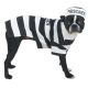 Casual Canine Prison Pooch Costumes  Large