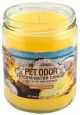 Pet Odor Exterminator Candle Pineapple Coconut