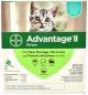 Advantage II for Kittens 2 5 lb