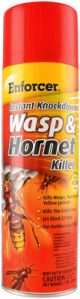 Instant Knockdown Wasp & Hornet Killer 16 oz