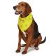 Aria Bark Its My Birthday Bandanas 1 count