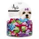Aria Gracie Dog Bows Canister 48 pc
