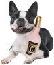 COSMO Rose Bottle 10