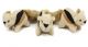 OUTWARD HOUND Squeakin Animals Replacement Squirrels 3 pack