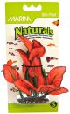 Marina Silk Foreground Aquarium Plant  Red