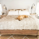 PUP91181 PAW PupProtector Waterproof Throw Blanket Faux Fur White w/Brown Accents Large