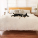PUP91185 PAW PupProtector Waterproof Throw Blanket Faux Fur Polar White Large