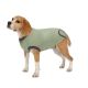 Total Pet Health Recovery Suits XXL
