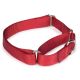 Guardian Gear Nylon Martingale Dog Collars 18-26 in Red