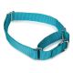 Guardian Gear Nylon Martingale Dog Collars 18-26 in Bluebird