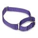 Guardian Gear Nylon Martingale Dog Collars 18-26 in Ultra Violet