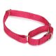 Guardian Gear Nylon Martingale Dog Collars 18-26 in Raspberry
