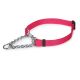 Guardian Gear Martingale Dog Collars 13-18 in Raspberry
