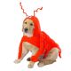 Casual Canine Lobster Paws Dog Costumes XL