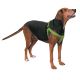 Casual Canine Two-Step Harness 25-40 x 1 in Sparkling Grape