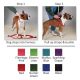 Casual Canine Two-Step Harness 9-15 x 3/8 in Red