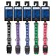 Casual Canine Two-Tone Pawprint Collars 6-10 in Blue
